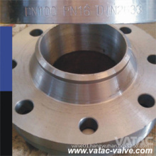 Stainless Steel Welding Neck Flange (FL02)